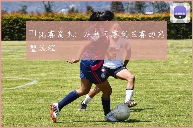 F1比赛周末:从练习赛到正赛的完整流程